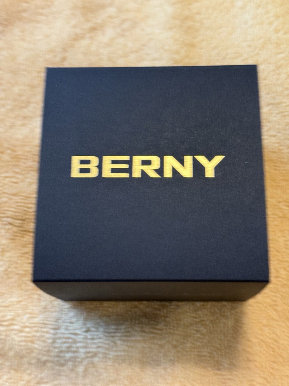 BERNY Watch Automatic GMT Black Dial Men’s Watch 1