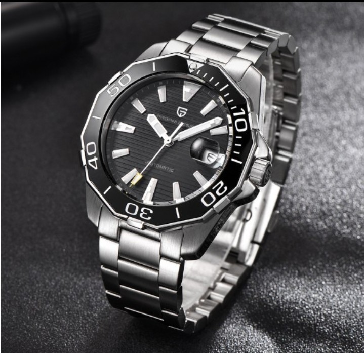 Pagani Design Automatic Mechanical Watch For Men’s Stainless Steel Luxury Date