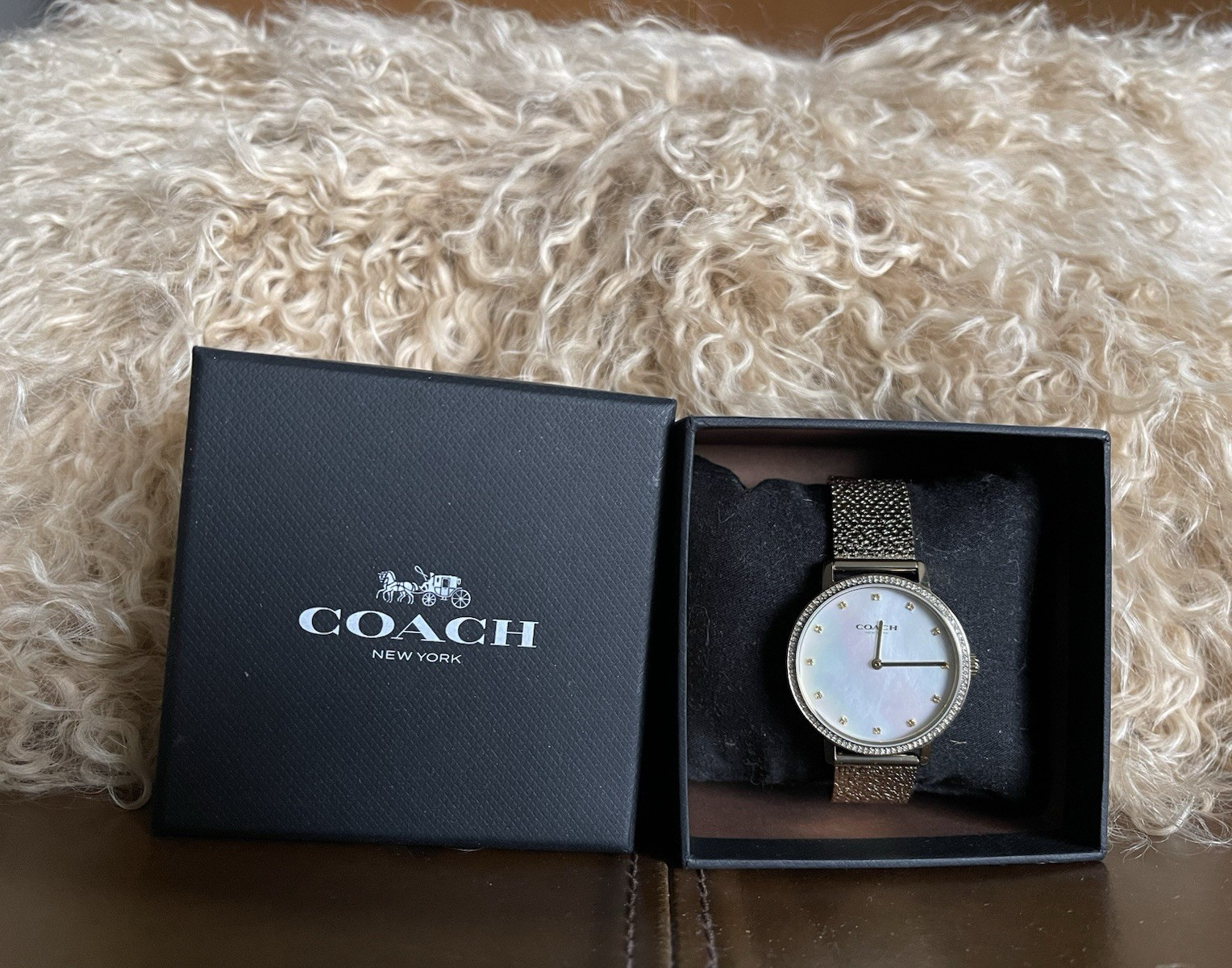 Coach Audrey Watch
