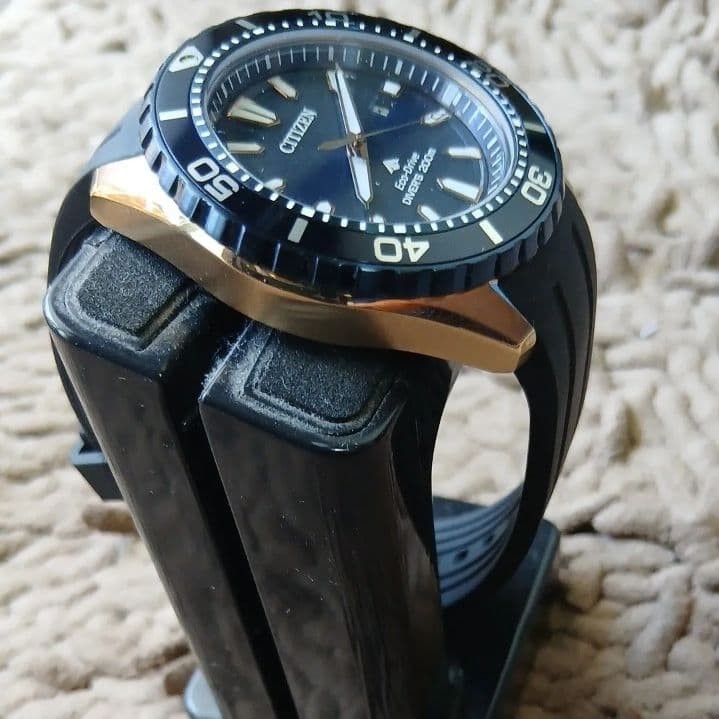 Citizen Promaster BN0196 01L