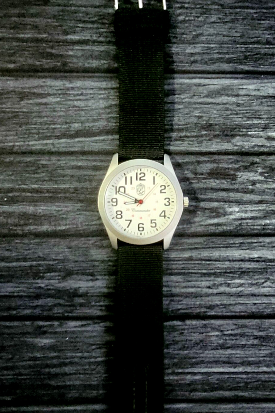 Authentic Pierre Lucerne Commander Railroad Approved Features White Dial Watch