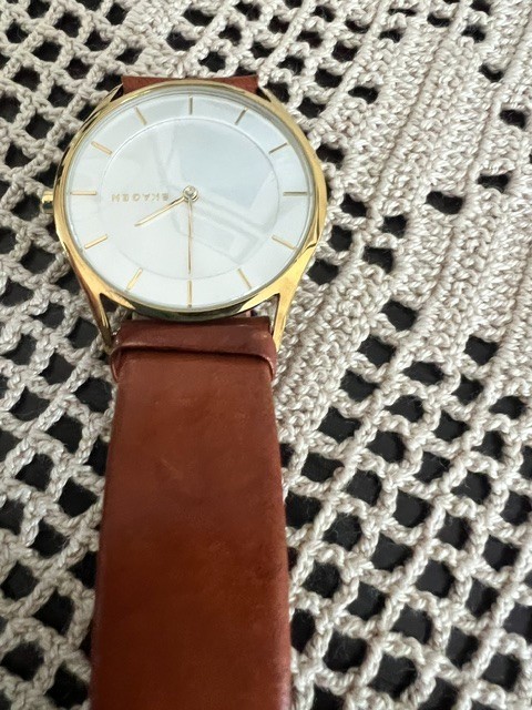 Skagen Nillson Leather Collection Watch SKW2344