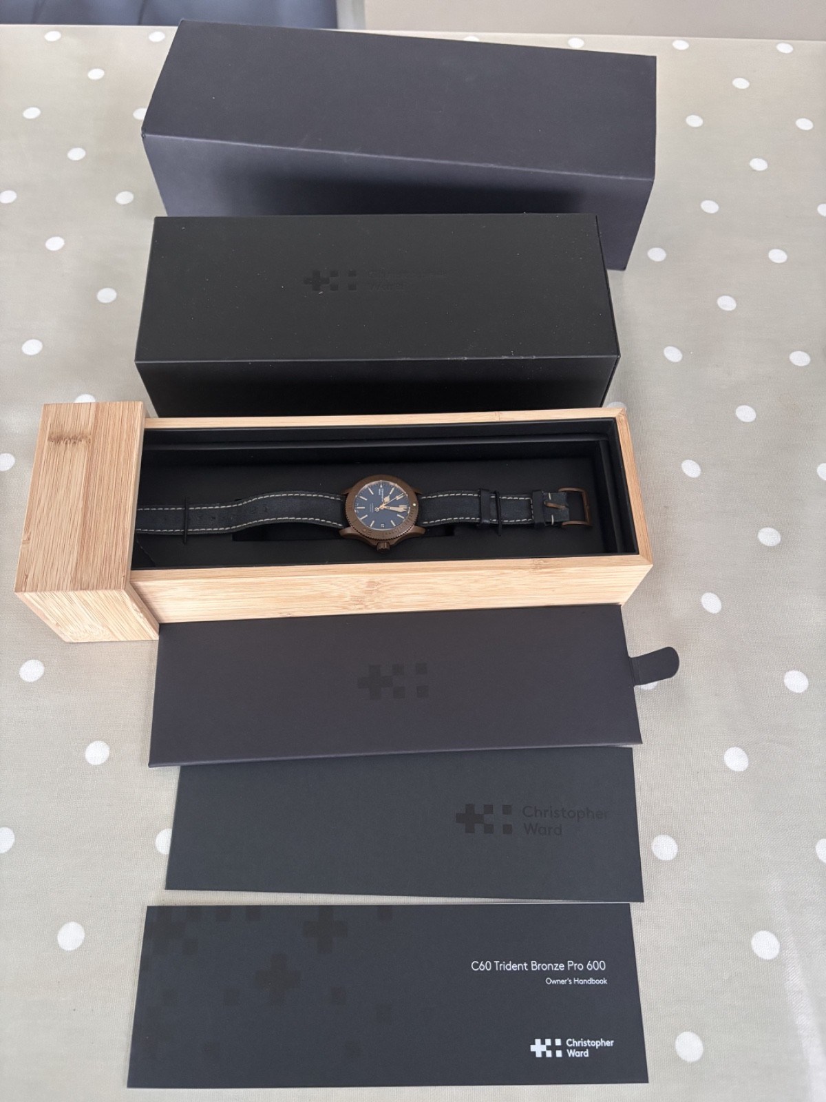 Christopher Ward C60 Trident Bronze Pro 600 38mm (02/2020) WH1461
