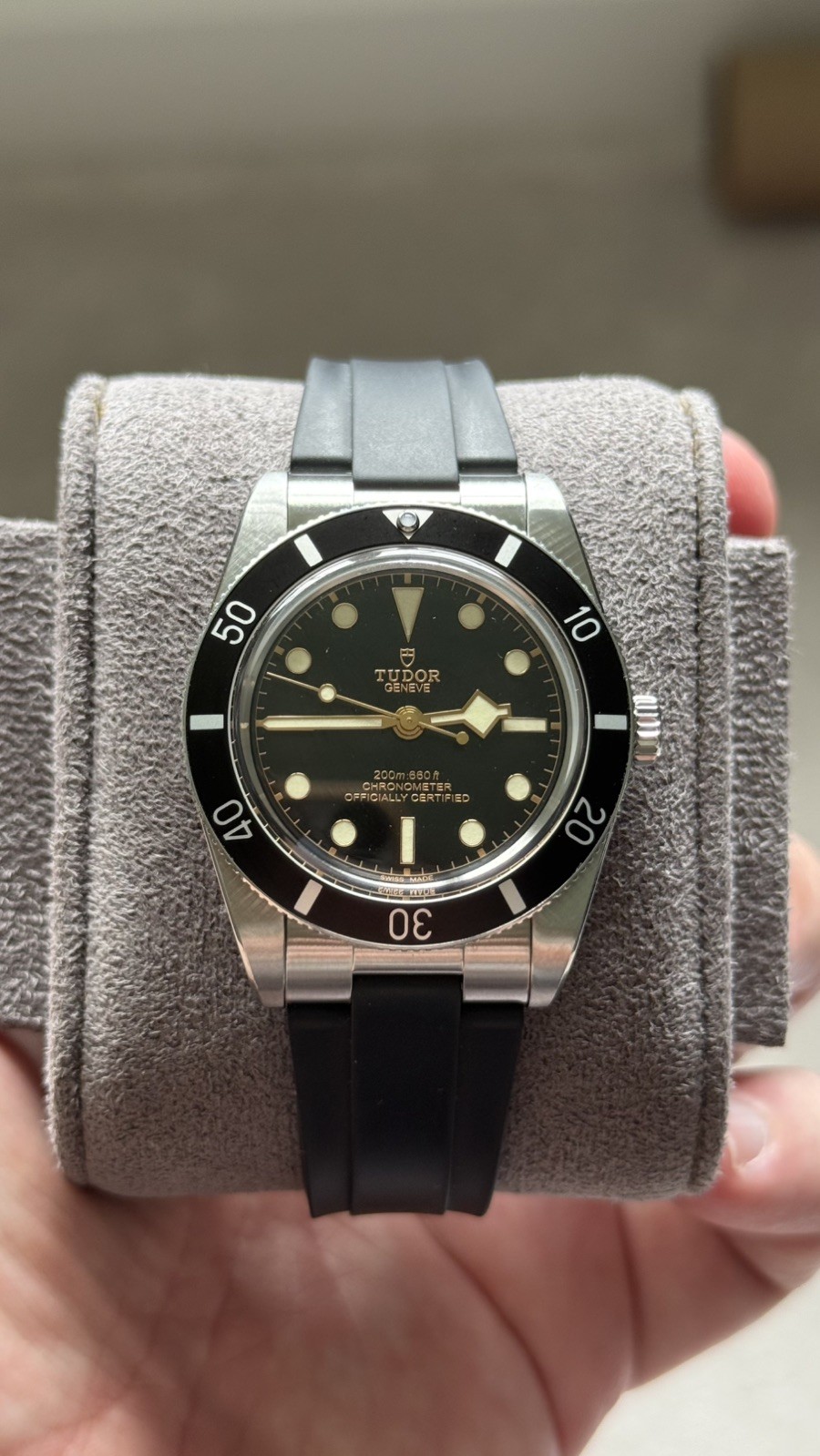Tudor Black Bay 54 Rubber Strap (M79000N-0002) (Box/Papers/Travel Pouch)