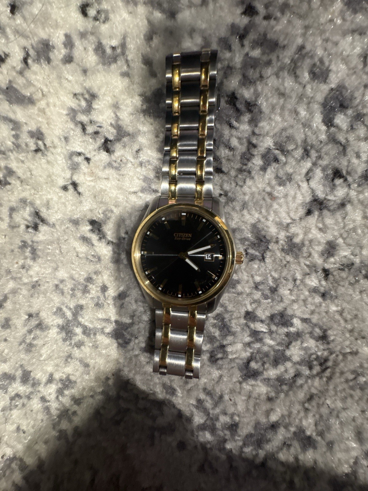 Citizen Eco-Drive Men’s Two-Tone Stainless Black Dial Date Watch 30m
