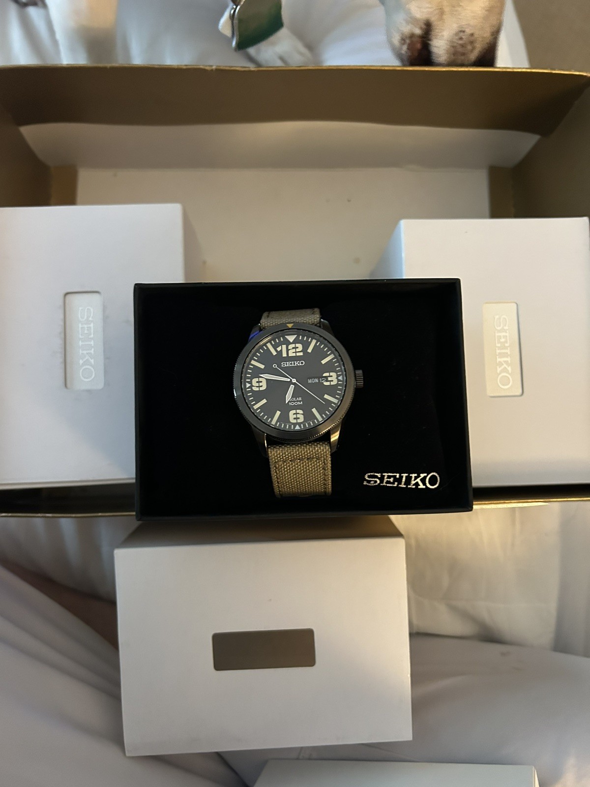 Seiko Watch Mens 42mm 6N43-00E0 Field Quartz Beige Canvas Strap Japan