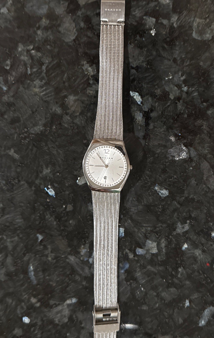 Skagen Women’s Anita Stainless Steel Mesh Bracelet Watch SKW2247