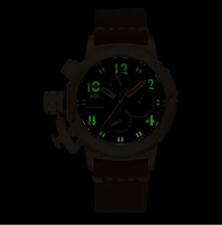 PAULAREIS Automatic Watch for Men Mechanical Multifunction Watches Mens Watch