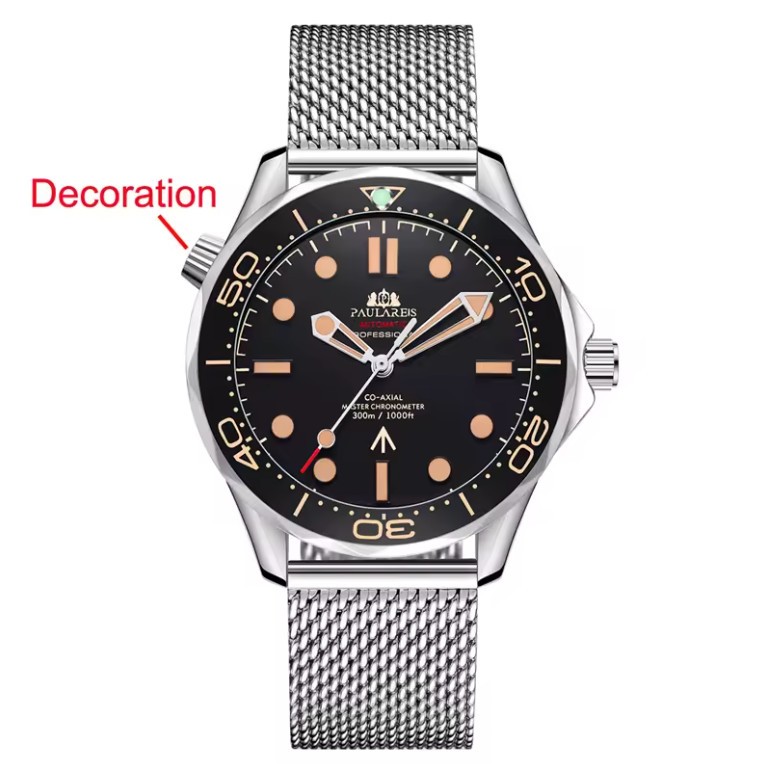 PAULAREIS Automatic Watches for Men Self Wind Mechanical Watches Stainless Steel