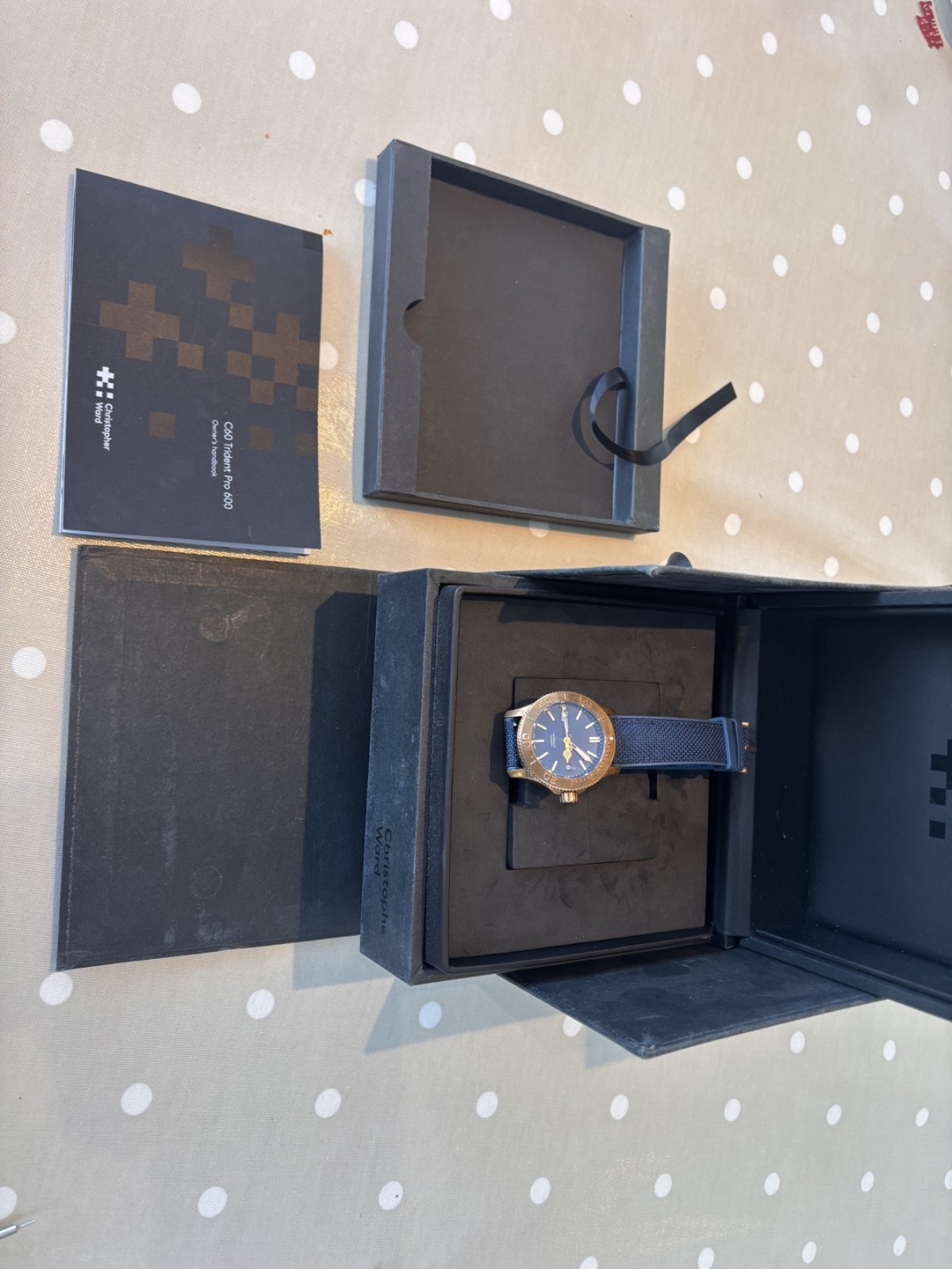 Christopher Ward C60 Trident Mk2 Pro 600 Bronze 38mm (11/2018) WH1736T