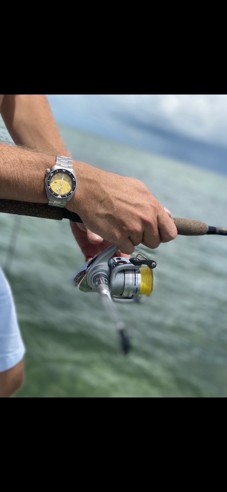 Seiko 38mm Dive Watches 150m Automatic
